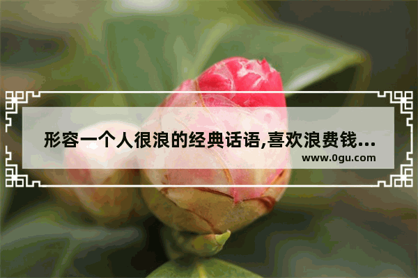 形容一个人很浪的经典话语,喜欢浪费钱的说说句子