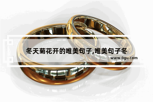 冬天菊花开的唯美句子,唯美句子冬