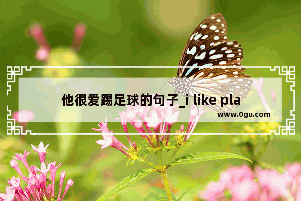 他很爱踢足球的句子_i like play football句子分析