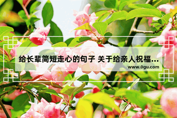 给长辈简短走心的句子 关于给亲人祝福的短句子