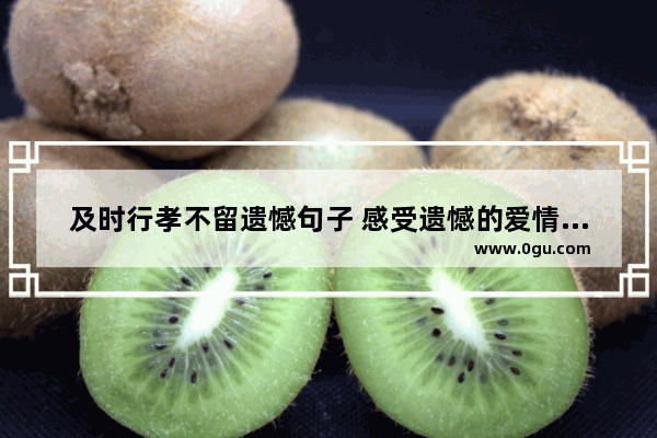 及时行孝不留遗憾句子 感受遗憾的爱情句子