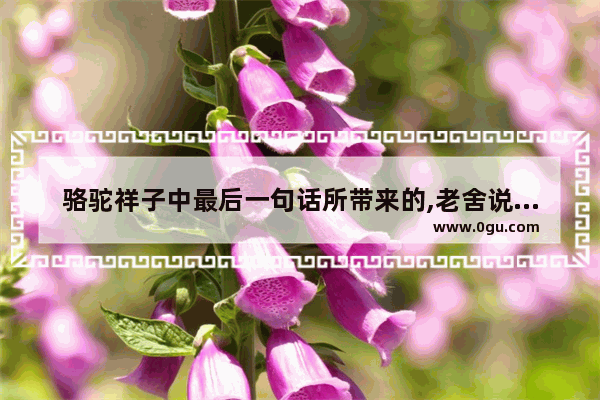 骆驼祥子中最后一句话所带来的,老舍说过的伤感句子赏析