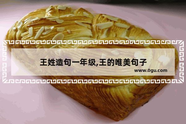 王姓造句一年级,王的唯美句子