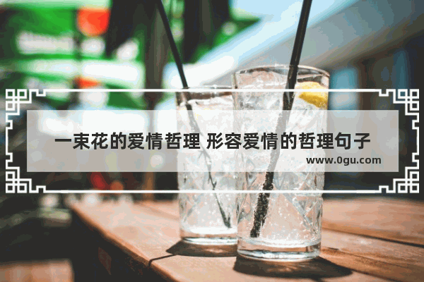 一束花的爱情哲理 形容爱情的哲理句子