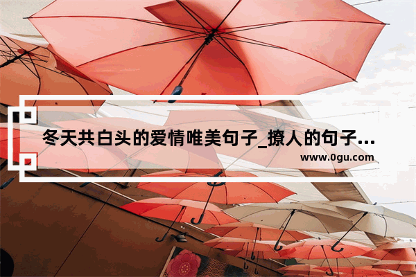 冬天共白头的爱情唯美句子_撩人的句子唯美短句干净