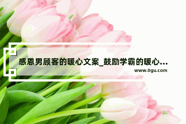 感恩男顾客的暖心文案_鼓励学霸的暖心句子