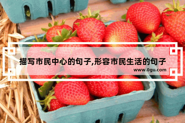描写市民中心的句子,形容市民生活的句子