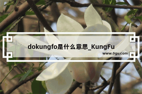 dokungfo是什么意思_KungFu是什么意思