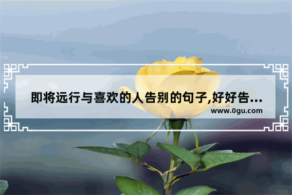 即将远行与喜欢的人告别的句子,好好告别爱情的句子