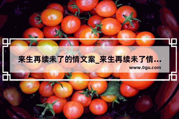 来生再续未了的情文案_来生再续未了情经典语录