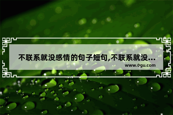 不联系就没感情的句子短句,不联系就没感情的句子短句