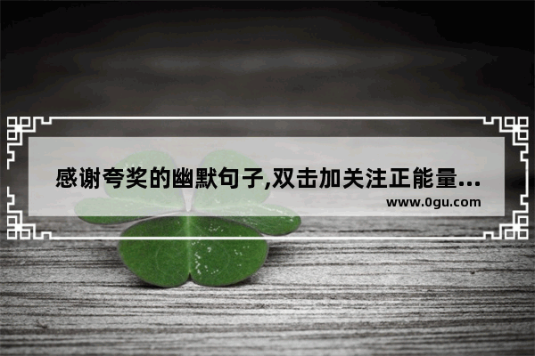 感谢夸奖的幽默句子,双击加关注正能量句子搞笑