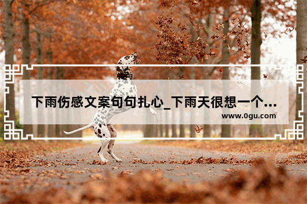 下雨伤感文案句句扎心_下雨天很想一个人高级又伤感文案