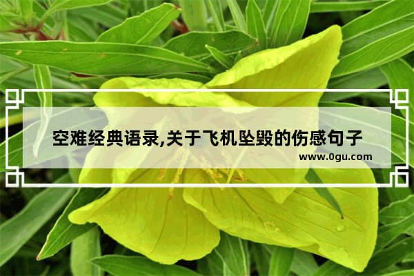 空难经典语录,关于飞机坠毁的伤感句子