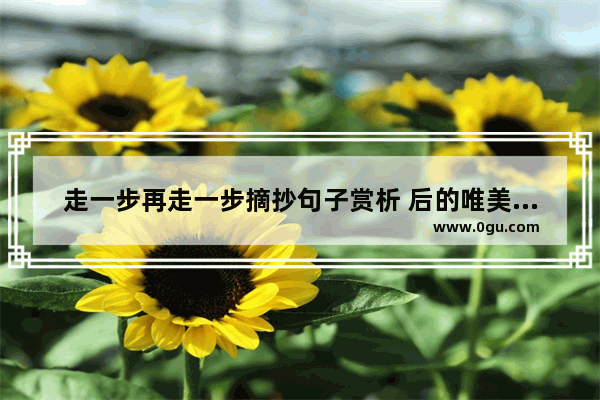 走一步再走一步摘抄句子赏析 后的唯美句子