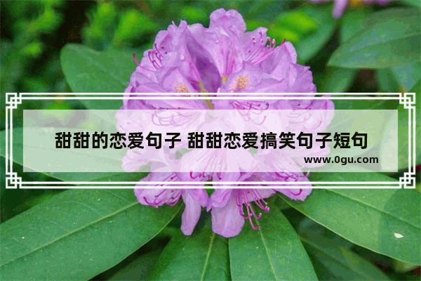 甜甜的恋爱句子 甜甜恋爱搞笑句子短句