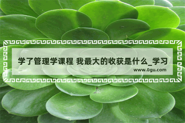 学了管理学课程 我最大的收获是什么_学习感悟的句子心情短语