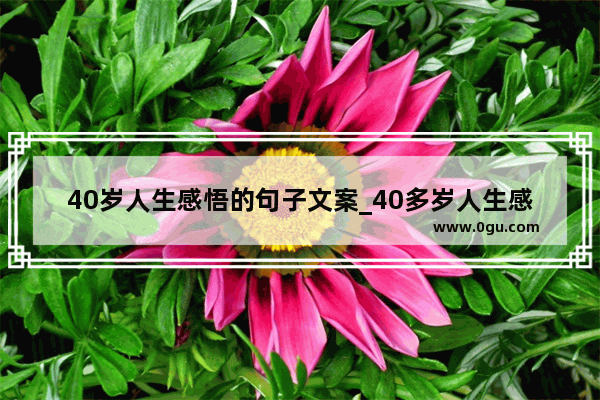 40岁人生感悟的句子文案_40多岁人生感悟的句子