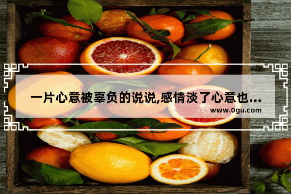 一片心意被辜负的说说,感情淡了心意也变了的句子