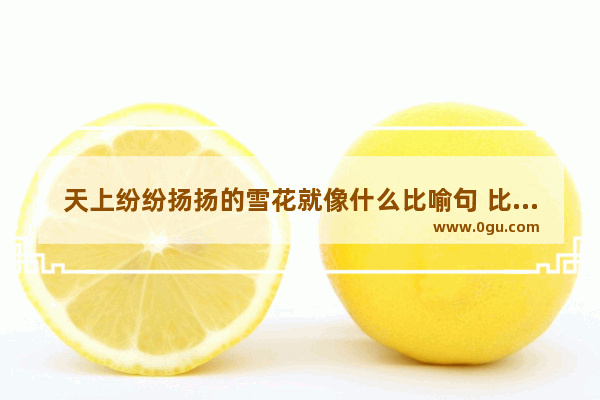 天上纷纷扬扬的雪花就像什么比喻句 比喻心情像雪花的句子
