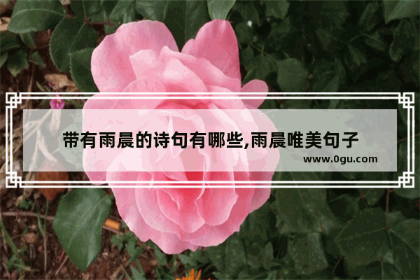 带有雨晨的诗句有哪些,雨晨唯美句子