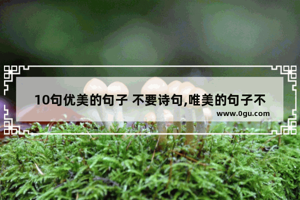 10句优美的句子 不要诗句,唯美的句子不