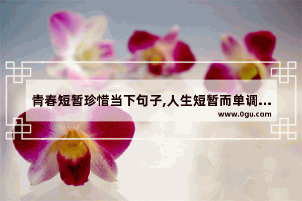 青春短暂珍惜当下句子,人生短暂而单调的句子