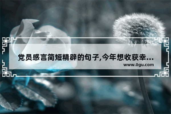 党员感言简短精辟的句子,今年想收获幸福的感悟句子