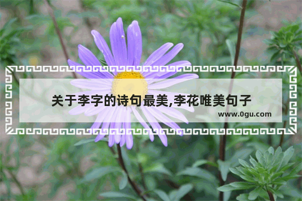 关于李字的诗句最美,李花唯美句子
