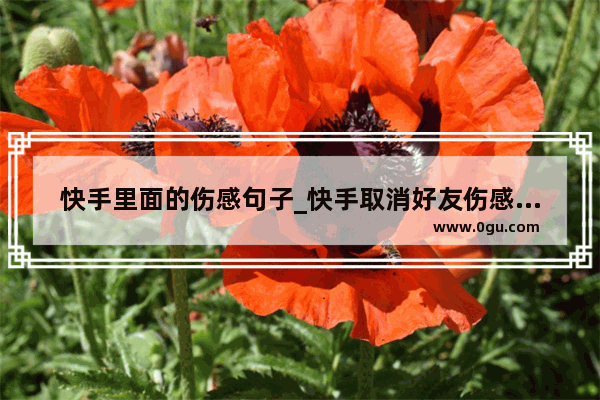 快手里面的伤感句子_快手取消好友伤感句子
