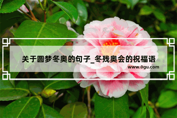 关于圆梦冬奥的句子_冬残奥会的祝福语