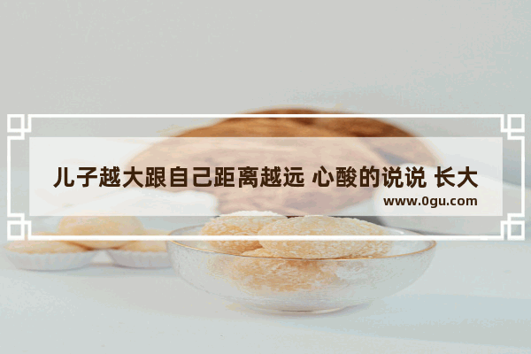 儿子越大跟自己距离越远 心酸的说说 长大后的心酸伤感句子简短
