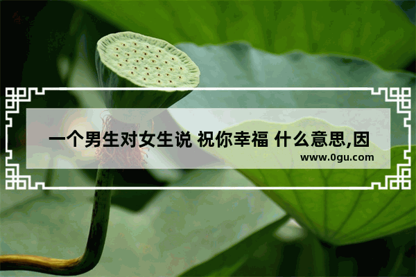 一个男生对女生说 祝你幸福 什么意思,因为有人所以很幸福的句子