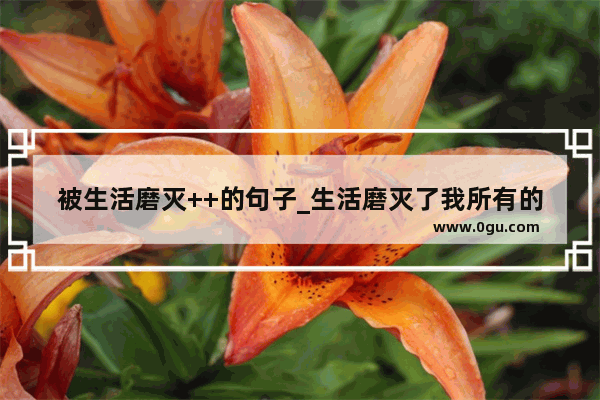 被生活磨灭++的句子_生活磨灭了我所有的棱角 只剩下从容淡定