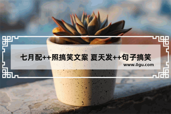 七月配++照搞笑文案 夏天发++句子搞笑