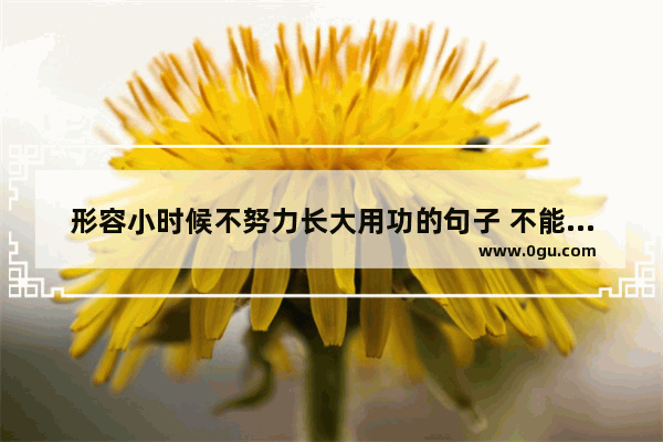 形容小时候不努力长大用功的句子 不能一起成长的感情句子