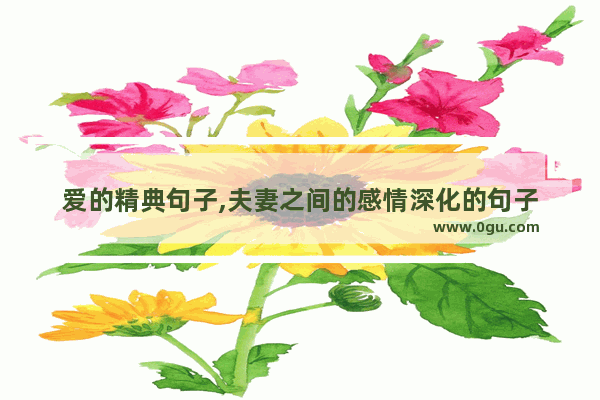 爱的精典句子,夫妻之间的感情深化的句子