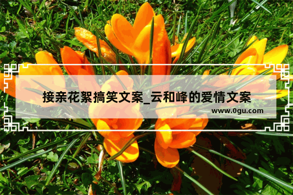 接亲花絮搞笑文案_云和峰的爱情文案