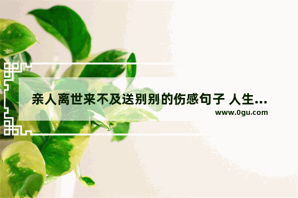 亲人离世来不及送别别的伤感句子 人生最后的悲伤的句子