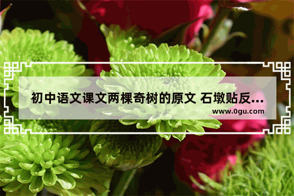 初中语文课文两棵奇树的原文 石墩贴反光贴暖心的句子