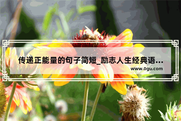 传递正能量的句子简短_励志人生经典语录正能量