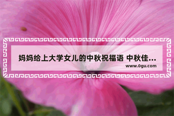 妈妈给上大学女儿的中秋祝福语 中秋佳节祝福妈妈们句子