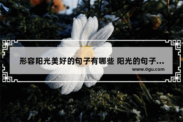 形容阳光美好的句子有哪些 阳光的句子唯美
