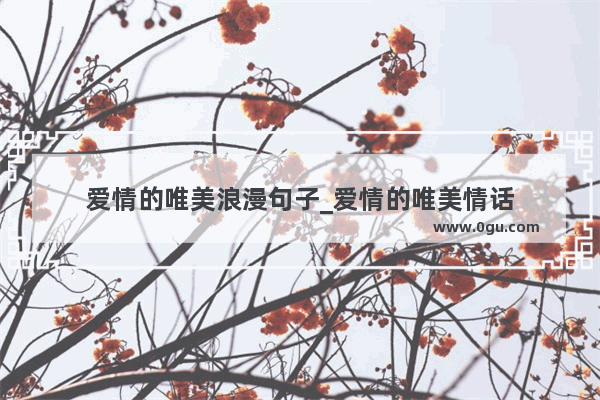 爱情的唯美浪漫句子_爱情的唯美情话