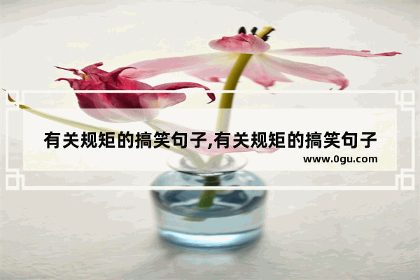 有关规矩的搞笑句子,有关规矩的搞笑句子