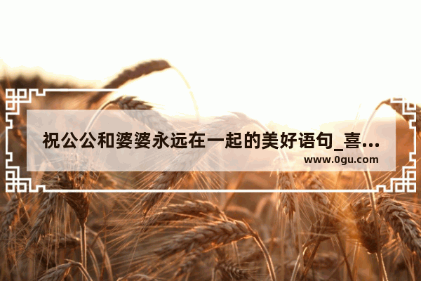 祝公公和婆婆永远在一起的美好语句_喜婆婆喜公公的幽默句子