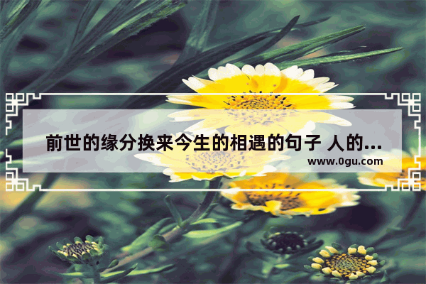 前世的缘分换来今生的相遇的句子 人的感情和前世有缘的句子