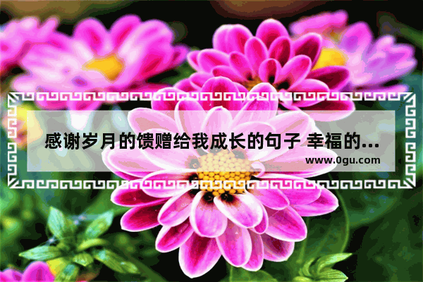 感谢岁月的馈赠给我成长的句子 幸福的相遇快乐成长的句子