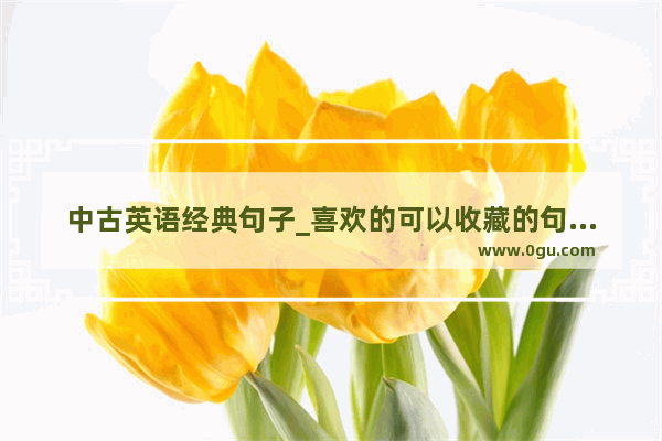 中古英语经典句子_喜欢的可以收藏的句子英语
