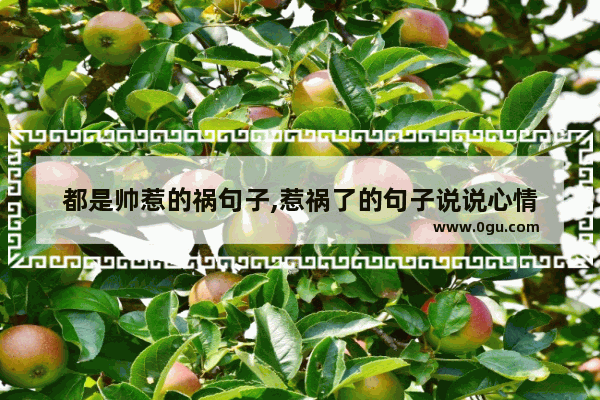 都是帅惹的祸句子,惹祸了的句子说说心情